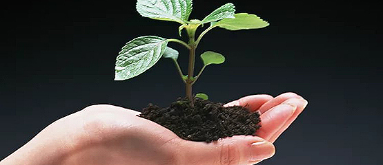 Инженерно-экологические изыскания